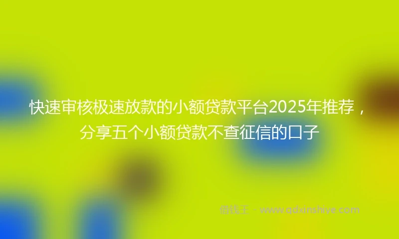 快速审核极速放款的小额贷款平台2025年推荐，分享五个小额贷款不查征信的口子