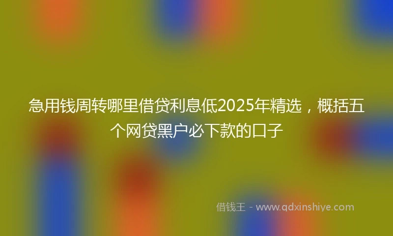 急用钱周转哪里借贷利息低2025年精选，概括五个网贷黑户必下款的口子