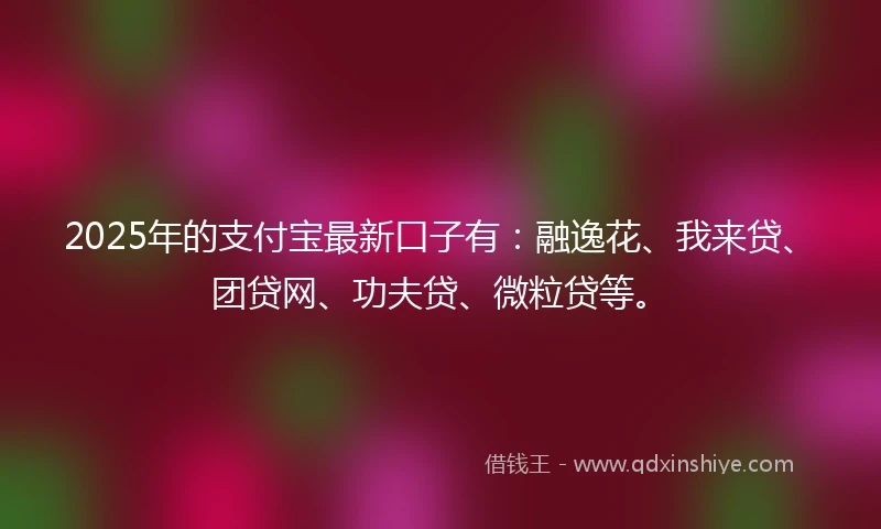 2025年的支付宝最新口子有：融逸花、我来贷、团贷网、功夫贷、微粒贷等。
