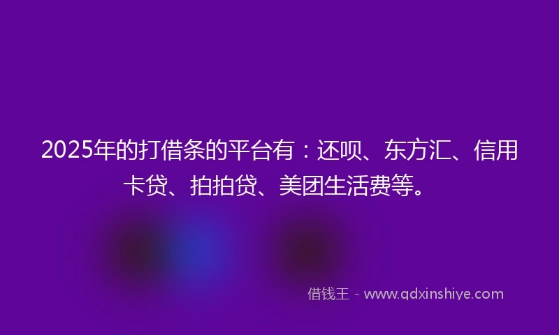 2025年的打借条的平台有：还呗、东方汇、信用卡贷、拍拍贷、美团生活费等。