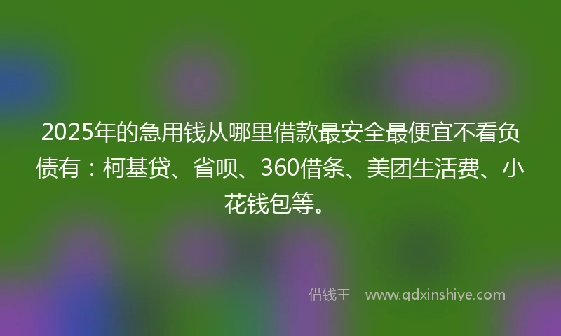 2025年的急用钱从哪里借款最安全最便宜不看负债有：柯基贷、省呗、360借条、美团生活费、小花钱包等。