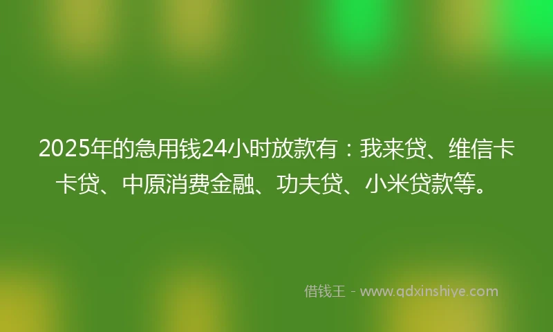 2025年的急用钱24小时放款有：我来贷、维信卡卡贷、中原消费金融、功夫贷、小米贷款等。
