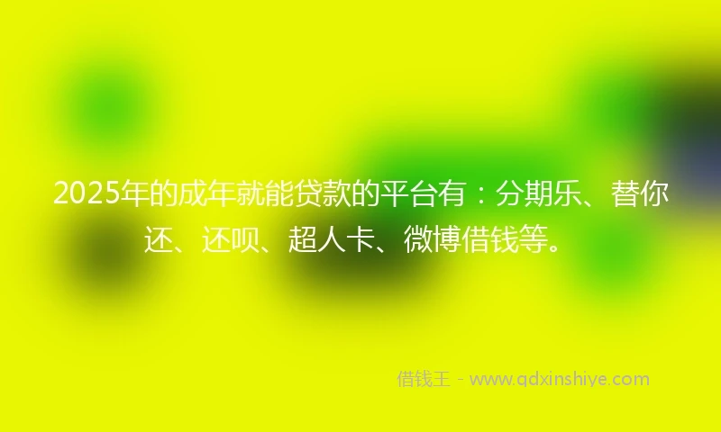 2025年的成年就能贷款的平台有：分期乐、替你还、还呗、超人卡、微博借钱等。