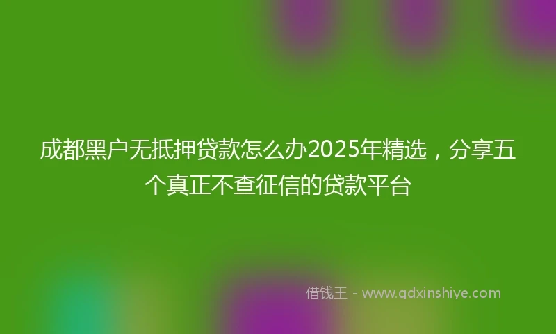 成都黑户无抵押贷款怎么办2025年精选，分享五个真正不查征信的贷款平台