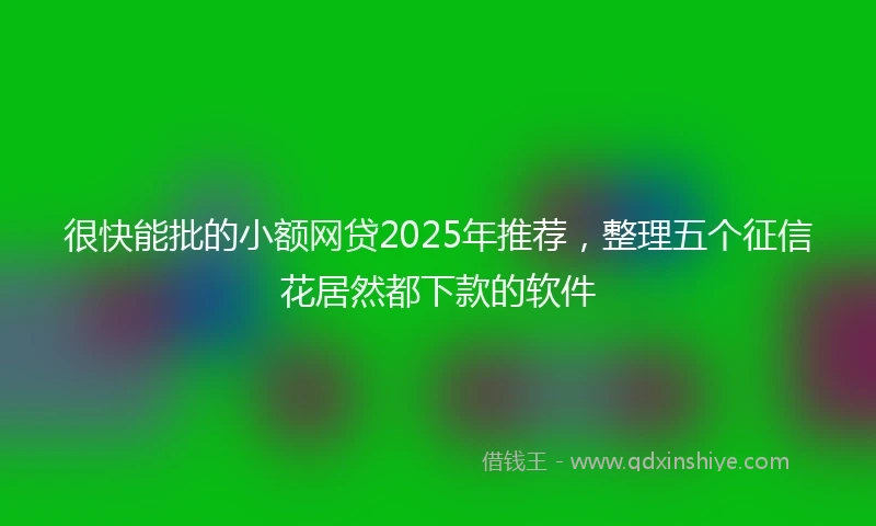 很快能批的小额网贷2025年推荐，整理五个征信花居然都下款的软件