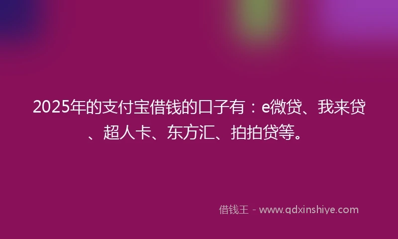 2025年的支付宝借钱的口子有：e微贷、我来贷、超人卡、东方汇、拍拍贷等。