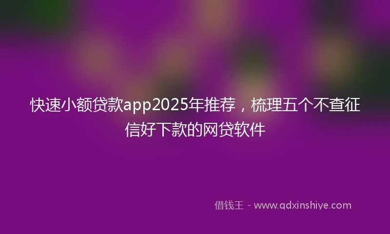 快速小额贷款app2025年推荐，梳理五个不查征信好下款的网贷软件