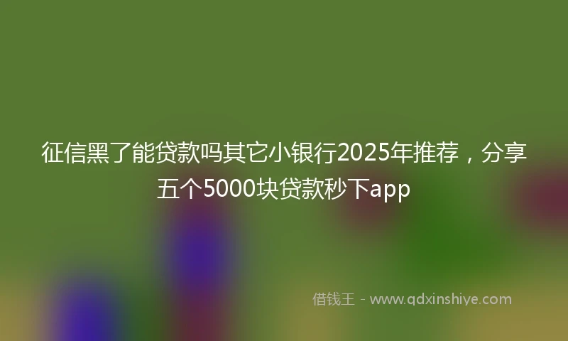 征信黑了能贷款吗其它小银行2025年推荐，分享五个5000块贷款秒下app