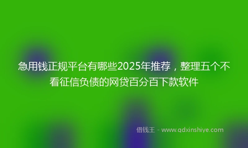 急用钱正规平台有哪些2025年推荐，整理五个不看征信负债的网贷百分百下款软件