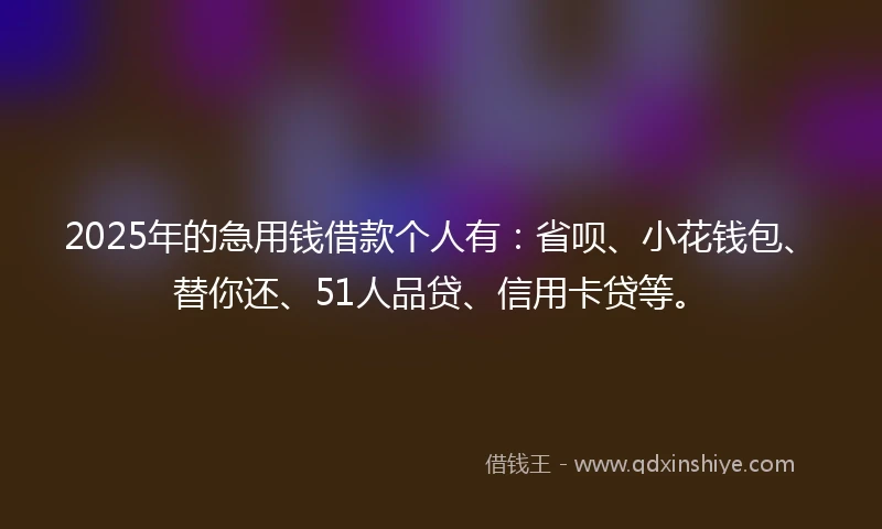 2025年的急用钱借款个人有：省呗、小花钱包、替你还、51人品贷、信用卡贷等。