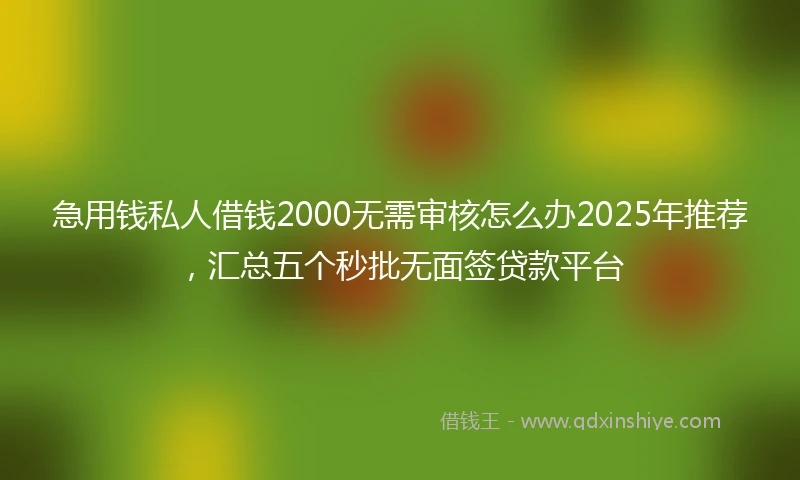 急用钱私人借钱2000无需审核怎么办2025年推荐，汇总五个秒批无面签贷款平台