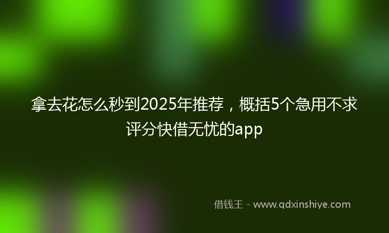 拿去花怎么秒到2025年推荐，概括5个急用不求评分快借无忧的app