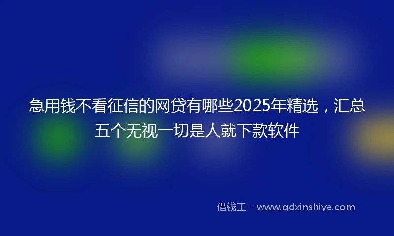 急用钱不看征信的网贷有哪些2025年精选，汇总五个无视一切是人就下款软件