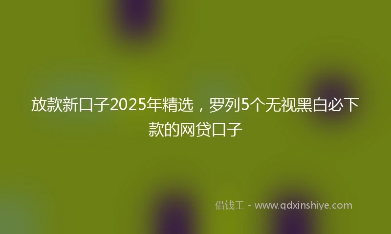 放款新口子2025年精选，罗列5个无视黑白必下款的网贷口子