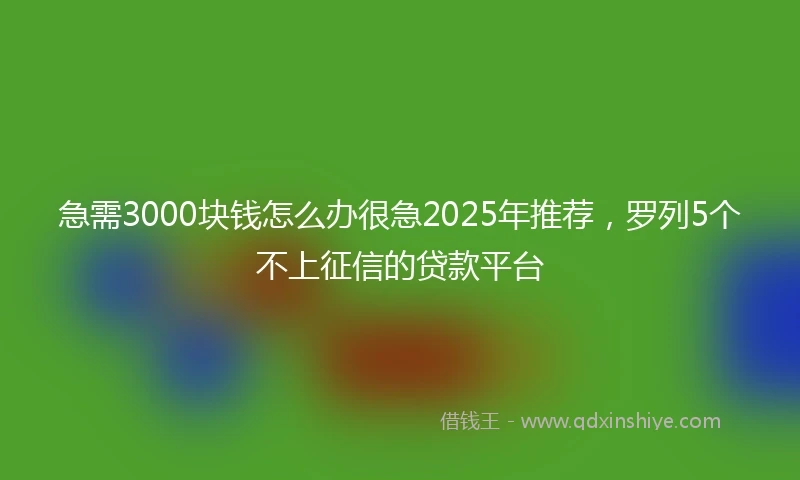 急需3000块钱怎么办很急2025年推荐，罗列5个不上征信的贷款平台