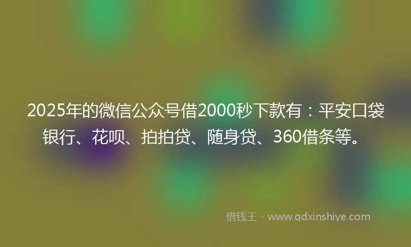 2025年的微信公众号借2000秒下款有：平安口袋银行、花呗、拍拍贷、随身贷、360借条等。