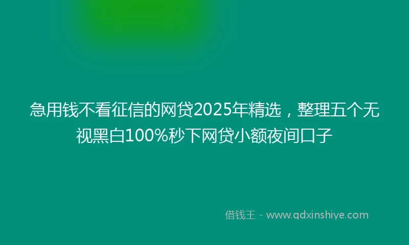 急用钱不看征信的网贷2025年精选，整理五个无视黑白100%秒下网贷小额夜间口子