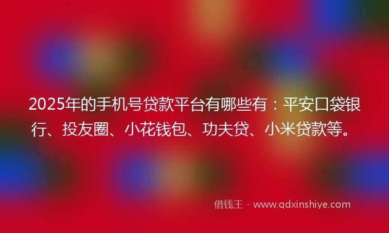 2025年的手机号贷款平台有哪些有：平安口袋银行、投友圈、小花钱包、功夫贷、小米贷款等。