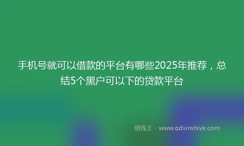 手机号就可以借款的平台有哪些2025年推荐，总结5个黑户可以下的贷款平台
