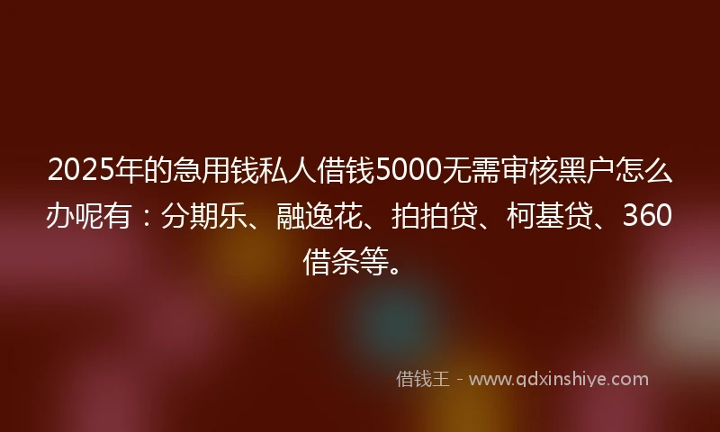 2025年的急用钱私人借钱5000无需审核黑户怎么办呢有：分期乐、融逸花、拍拍贷、柯基贷、360借条等。