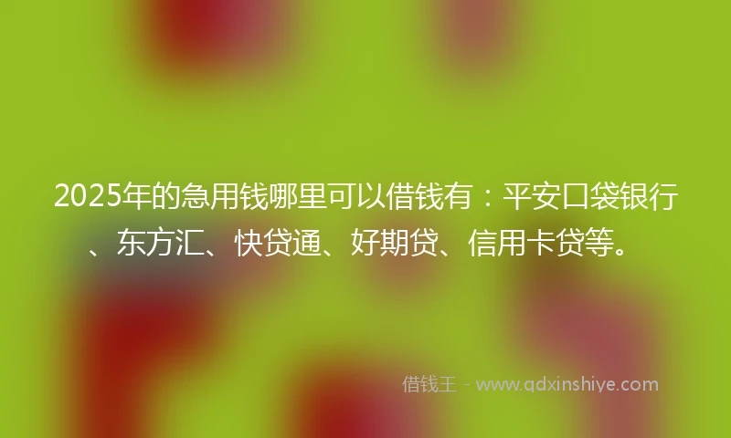 2025年的急用钱哪里可以借钱有:平安口袋银行、东方汇、快贷通、好期贷、信用卡贷等。