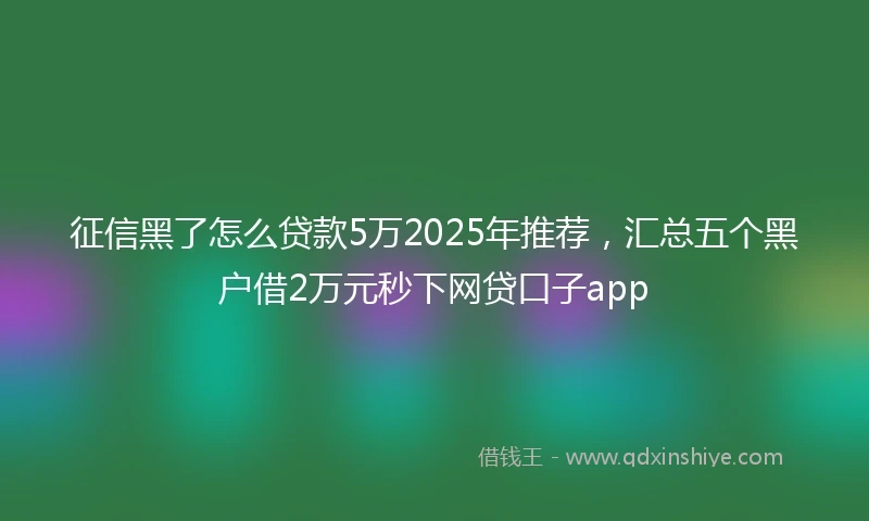 征信黑了怎么贷款5万2025年推荐，汇总五个黑户借2万元秒下网贷口子app