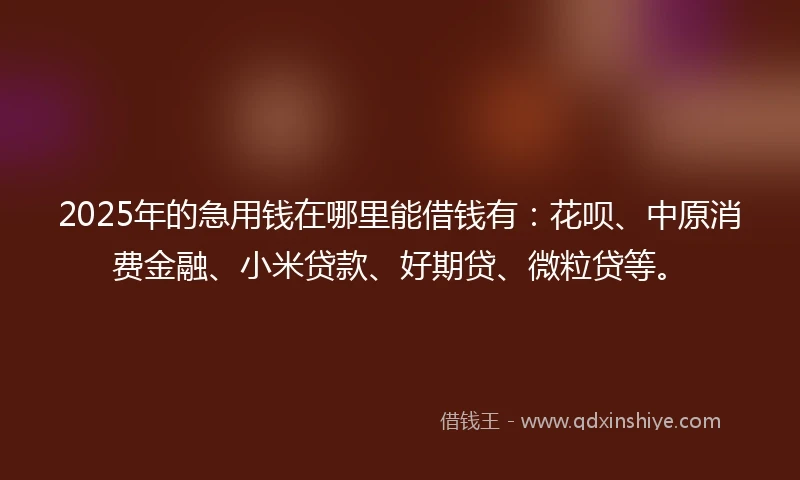 2025年的急用钱在哪里能借钱有：花呗、中原消费金融、小米贷款、好期贷、微粒贷等。
