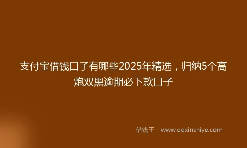 支付宝借钱口子有哪些2025年精选，归纳5个高炮双黑逾期必下款口子