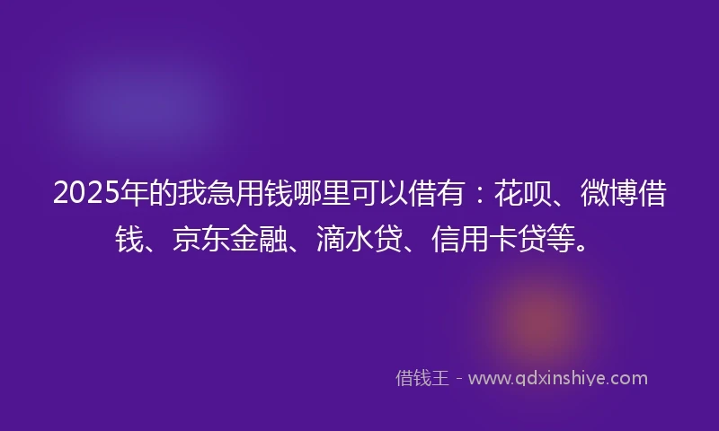 2025年的我急用钱哪里可以借有：花呗、微博借钱、京东金融、滴水贷、信用卡贷等。