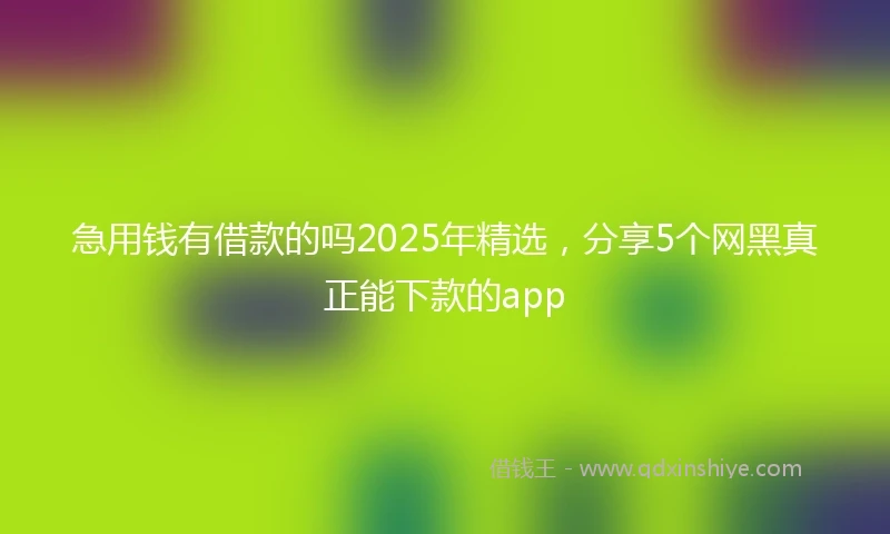 急用钱有借款的吗2025年精选，分享5个网黑真正能下款的app