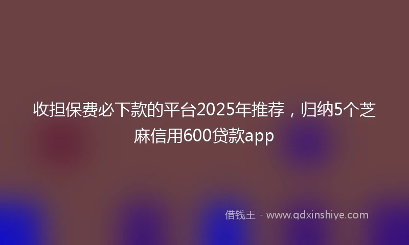 收担保费必下款的平台2025年推荐，归纳5个芝麻信用600贷款app