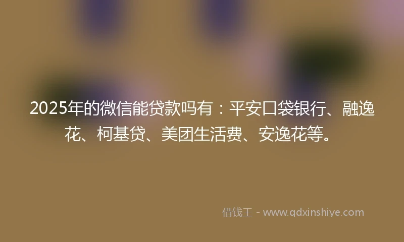 2025年的微信能贷款吗有：平安口袋银行、融逸花、柯基贷、美团生活费、安逸花等。
