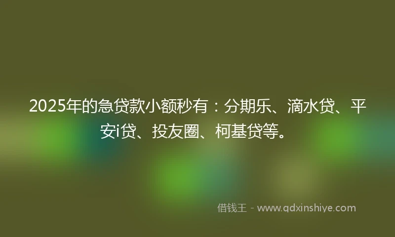 2025年的急贷款小额秒有：分期乐、滴水贷、平安i贷、投友圈、柯基贷等。