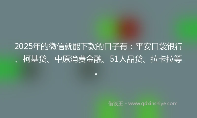 2025年的微信就能下款的口子有：平安口袋银行、柯基贷、中原消费金融、51人品贷、拉卡拉等。