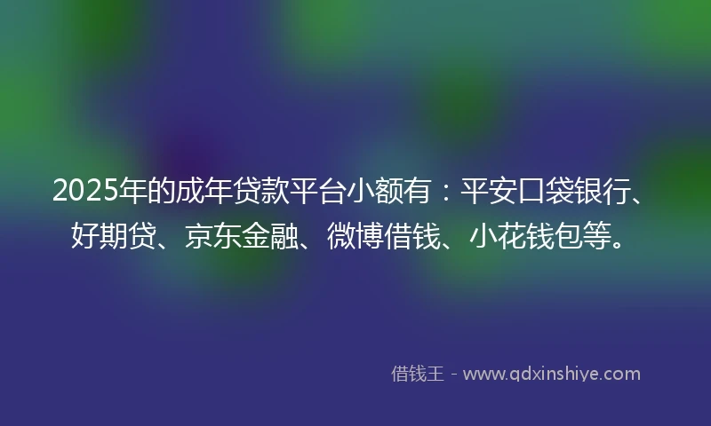 2025年的成年贷款平台小额有：平安口袋银行、好期贷、京东金融、微博借钱、小花钱包等。