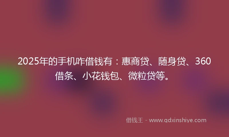 2025年的手机咋借钱有：惠商贷、随身贷、360借条、小花钱包、微粒贷等。