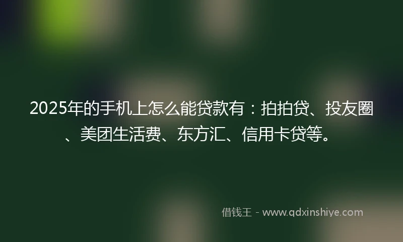 2025年的手机上怎么能贷款有：拍拍贷、投友圈、美团生活费、东方汇、信用卡贷等。