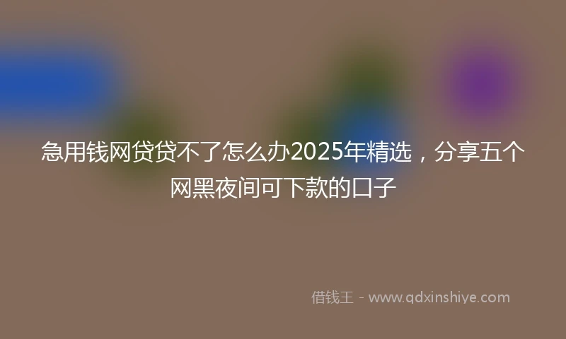 急用钱网贷贷不了怎么办2025年精选，分享五个网黑夜间可下款的口子