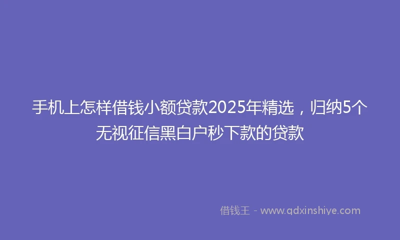 手机上怎样借钱小额贷款2025年精选，归纳5个无视征信黑白户秒下款的贷款
