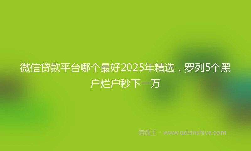微信贷款平台哪个最好2025年精选，罗列5个黑户烂户秒下一万