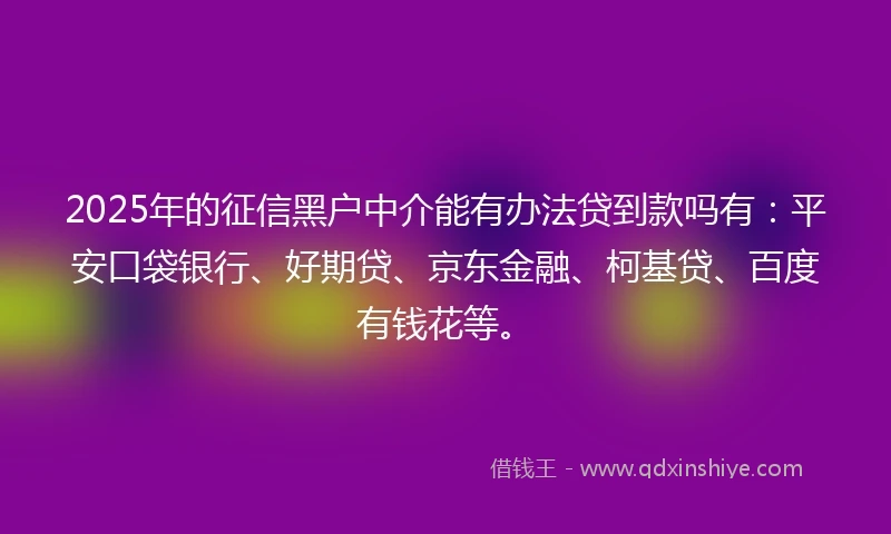 2025年的征信黑户中介能有办法贷到款吗有：平安口袋银行、好期贷、京东金融、柯基贷、百度有钱花等。