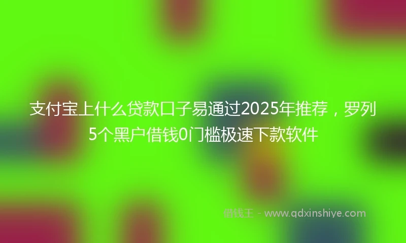 支付宝上什么贷款口子易通过2025年推荐，罗列5个黑户借钱0门槛极速下款软件
