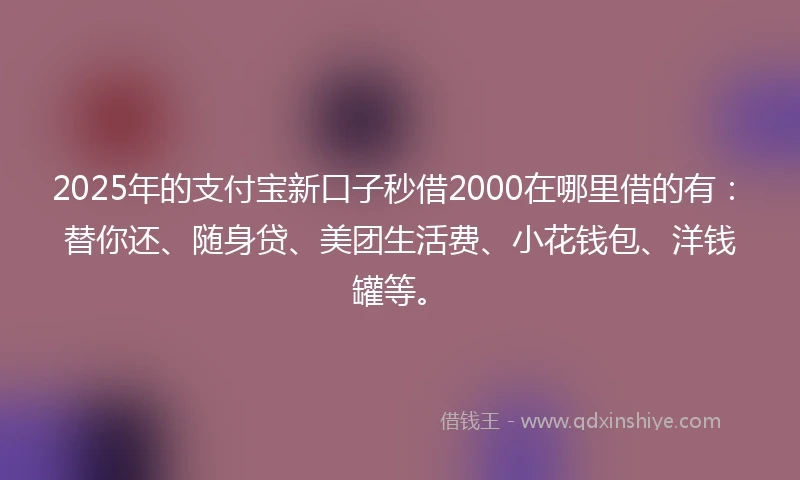 2025年的支付宝新口子秒借2000在哪里借的有：替你还、随身贷、美团生活费、小花钱包、洋钱罐等。