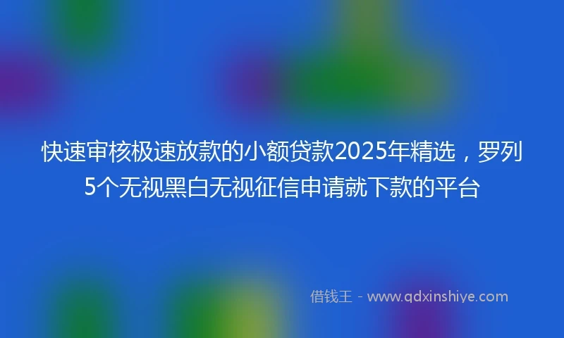 快速审核极速放款的小额贷款2025年精选，罗列5个无视黑白无视征信申请就下款的平台