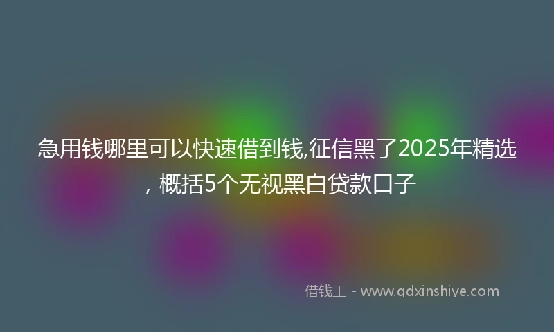 急用钱哪里可以快速借到钱,征信黑了2025年精选，概括5个无视黑白贷款口子