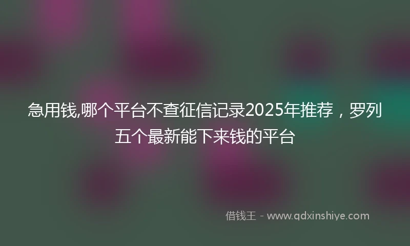 急用钱,哪个平台不查征信记录2025年推荐，罗列五个最新能下来钱的平台