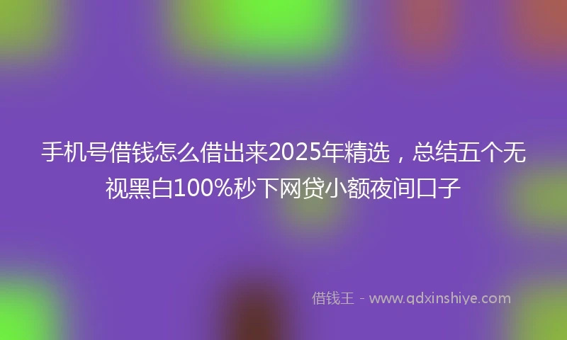 手机号借钱怎么借出来2025年精选，总结五个无视黑白100%秒下网贷小额夜间口子