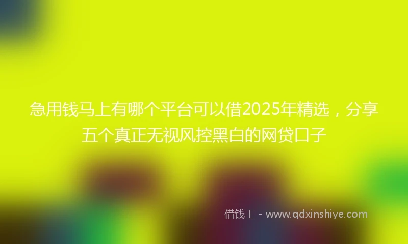 急用钱马上有哪个平台可以借2025年精选，分享五个真正无视风控黑白的网贷口子