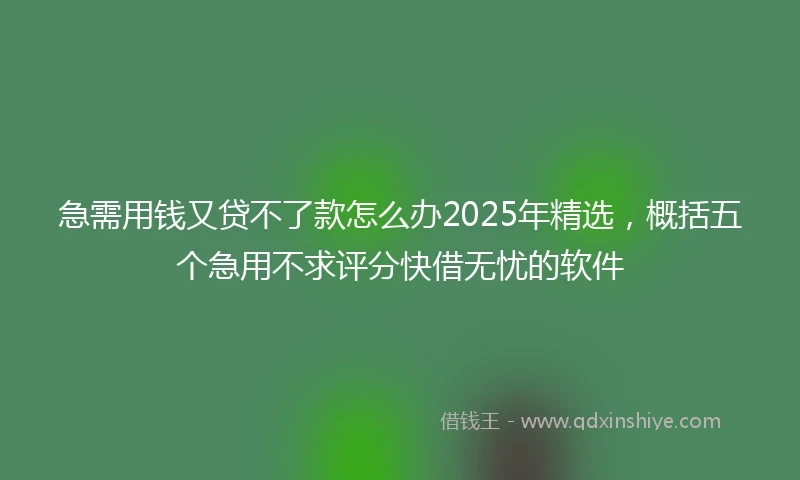 急需用钱又贷不了款怎么办2025年精选，概括五个急用不求评分快借无忧的软件