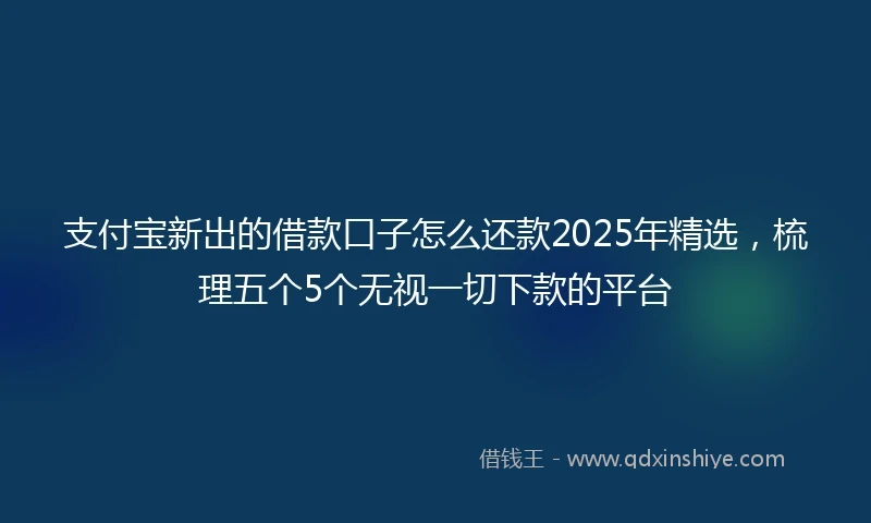 支付宝新出的借款口子怎么还款2025年精选，梳理五个5个无视一切下款的平台